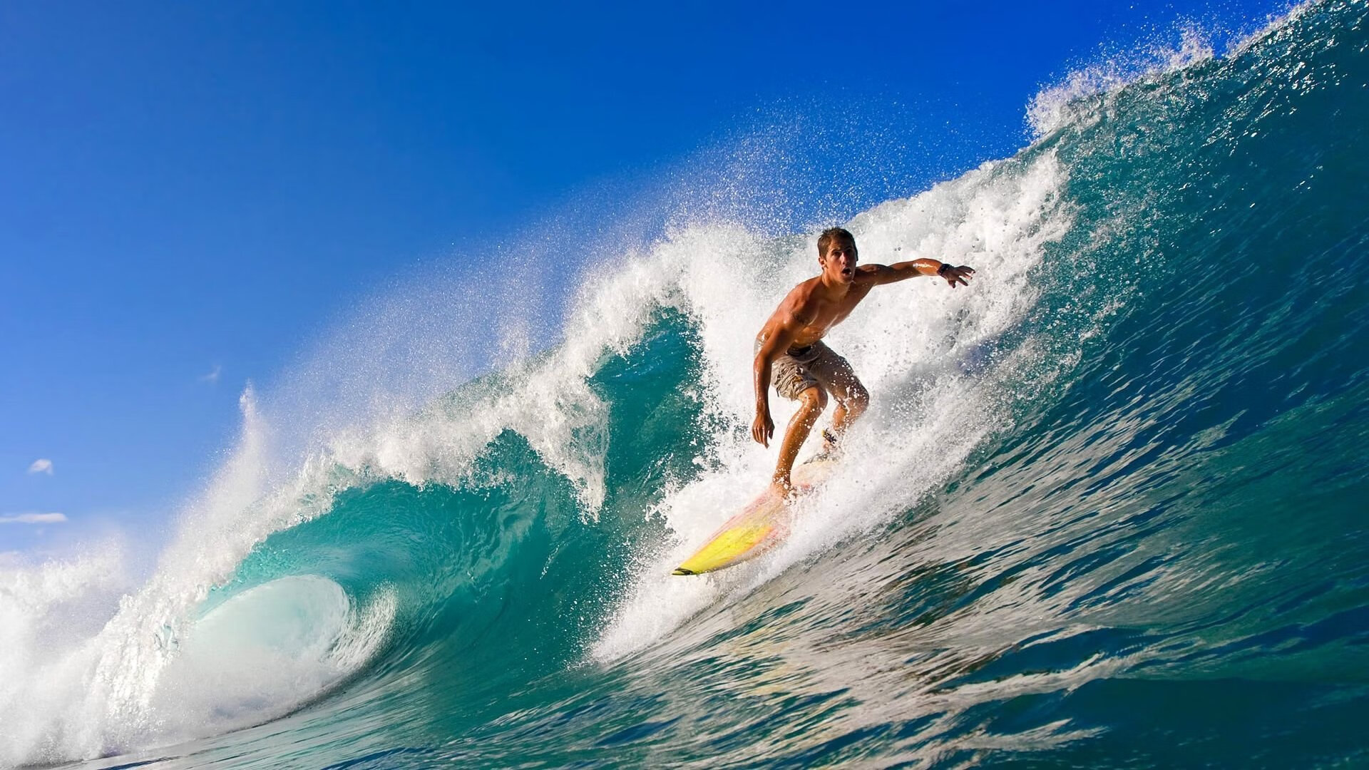 体育明星公益形象影响力显著提升，体育明星的作用