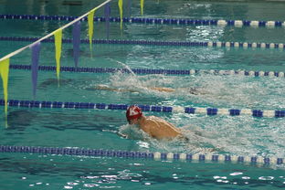 全国公开水域游泳赛长江赛段人气爆棚